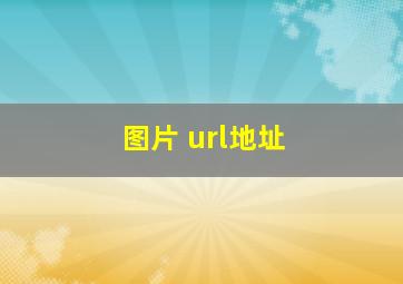 图片 url地址